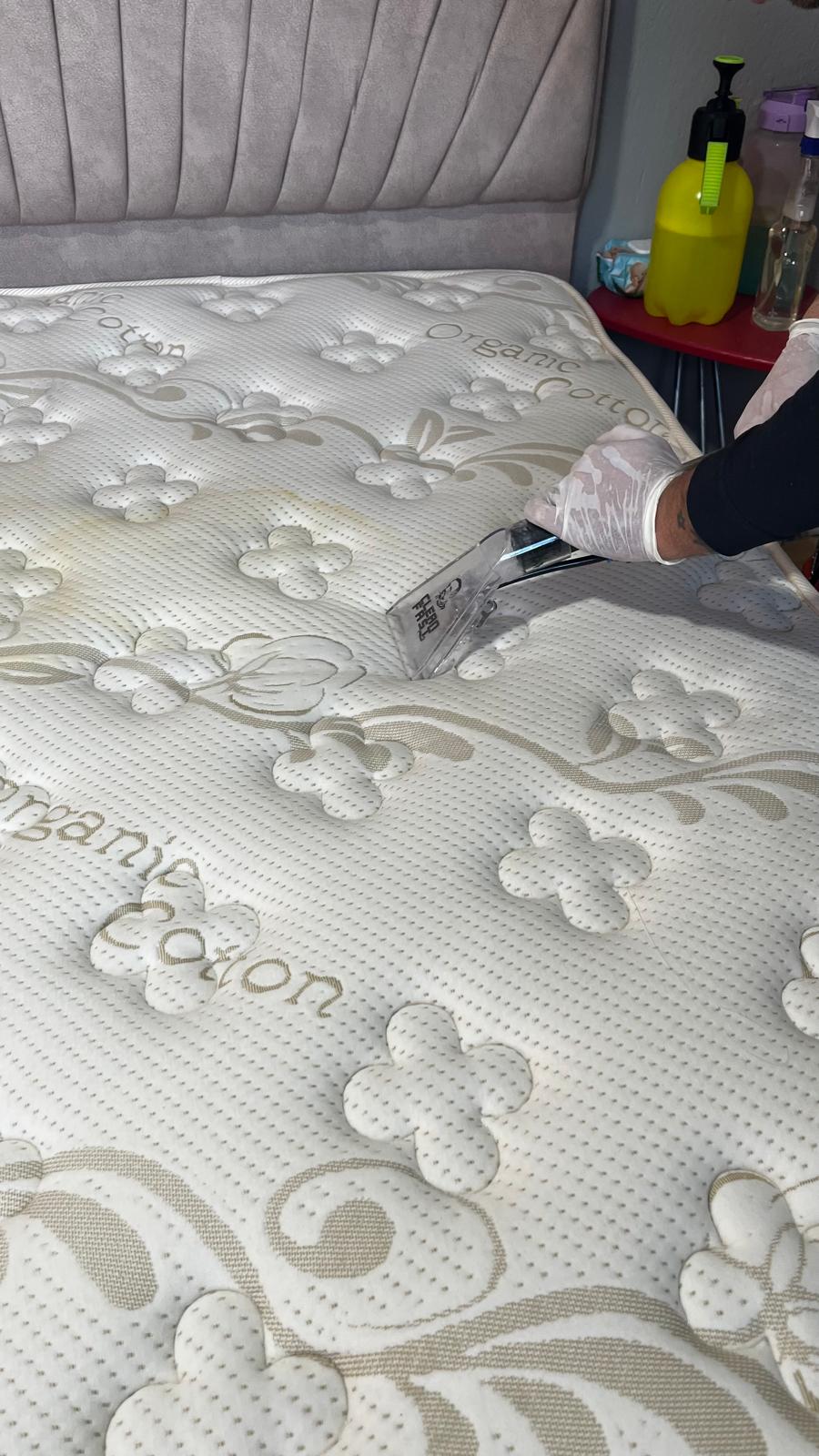 Çınar Buharlı Yıkama